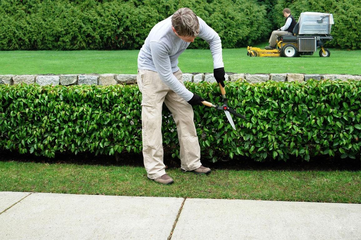 DIY vs. Professional Landscaping Services Windsor Co: What's Best for You? 4952d1_6dcaaa36b43e482cb34445b25b82f316~mv2