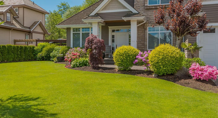 Eco-Friendly Elegance: Landscaping Services Loveland eco-friendly-elegance-landscaping-services-loveland