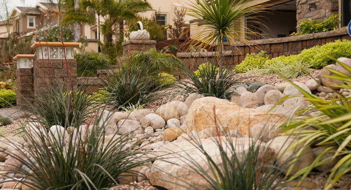 Sustainable Gardening: Xeriscape Services Fort Collins sustainable-gardening-xeriscape-services-fort-collins