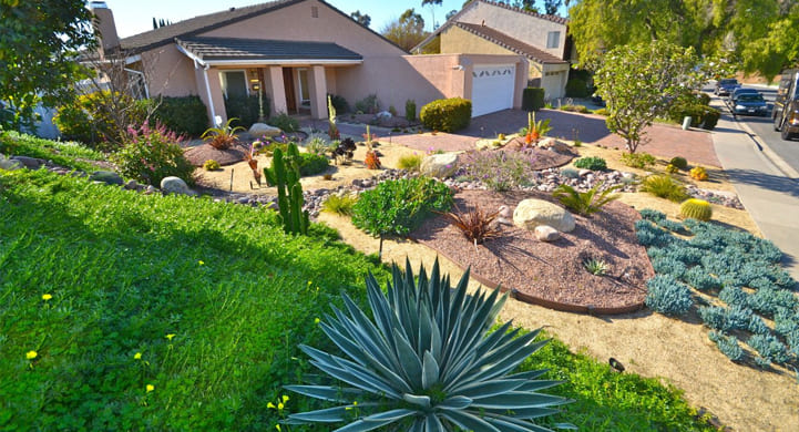 Transform Your Landscape with Xeriscape Services Fort Collins transform-landscape-xeriscape-services-fort-collins