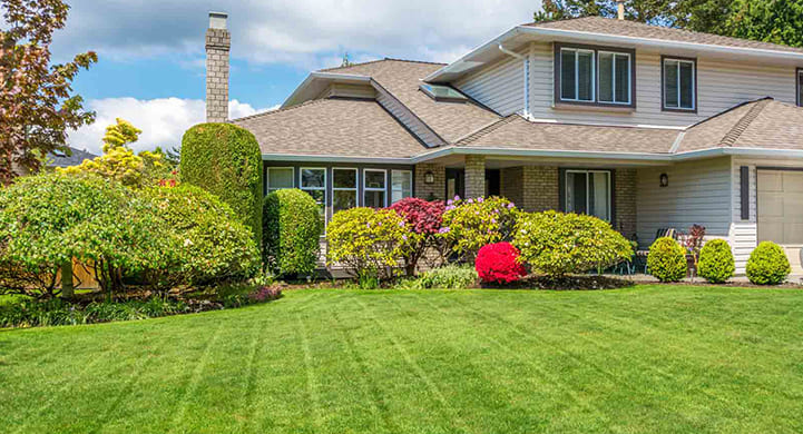 What to Expect from the Best Landscape Companies Loveland? best-landscape-companies-loveland-expectations