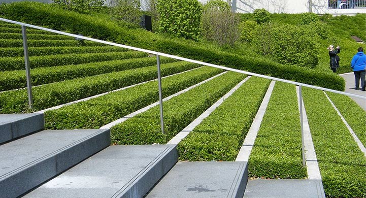The Next Steps After Hiring a Landscape Design Service in Estes Park landscape-design-service-estes