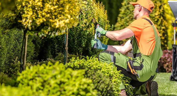 How to Choose the Right Landscaping Services Berthoud landscape-service-berthoud
