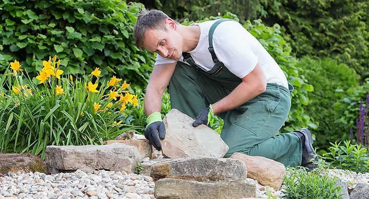 Understanding and Utilizing Grading Services Fort Collins understanding-and-utilizing-grading-services