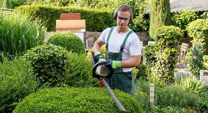 Transform Your Yard: Premier Landscaping Services Berthoud yard-premier-landscape-service