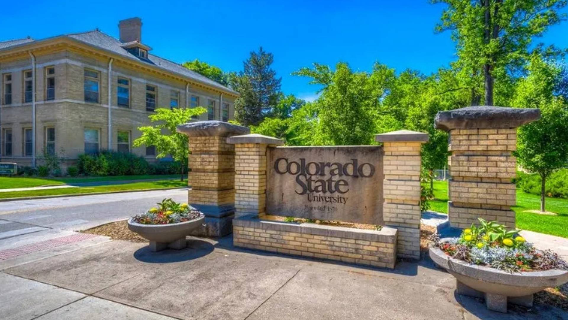 colorado state university