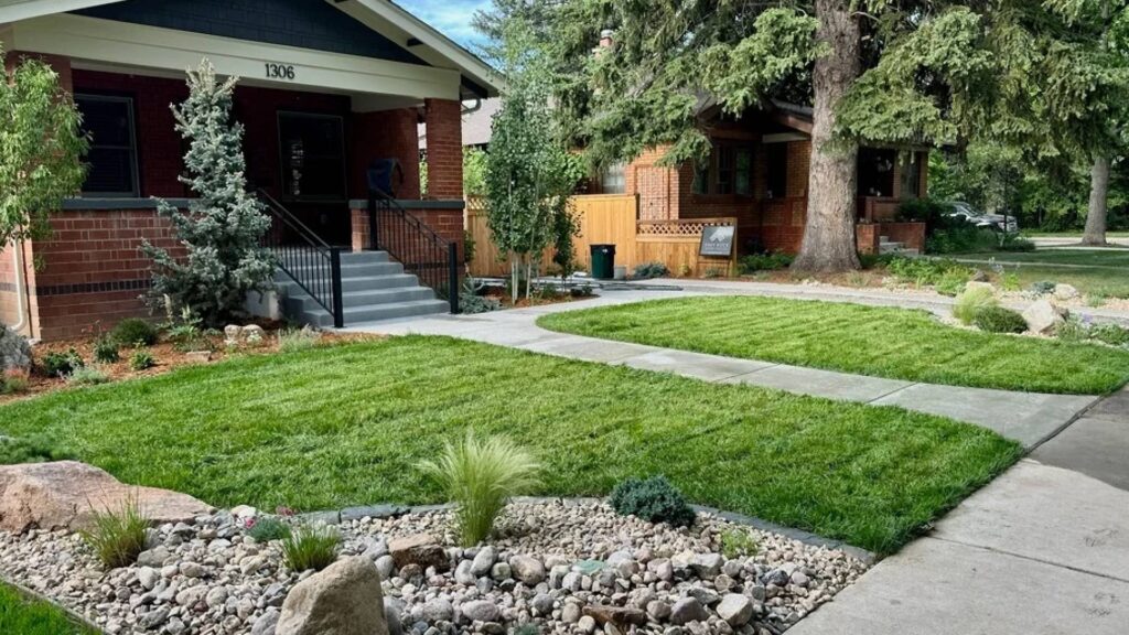 professional landscape design services Fort Collins, CO