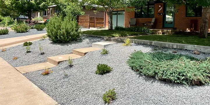 drought-tolerant-landscaping-designers-in-colorado