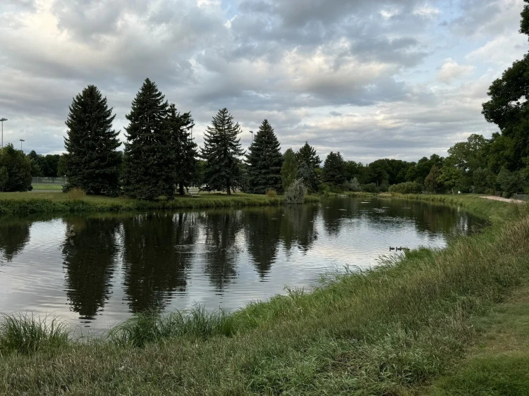 Prospect/Shields, Fort Collins: Where Active Living Meets Expert Landscape Design landscape spring creek trail in prospect shields fort collins