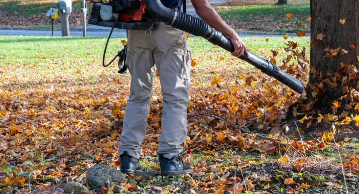 Best Fall Cleanup Strategies to Protect Your Colorado Landscape fall cleanup strategies for colorado