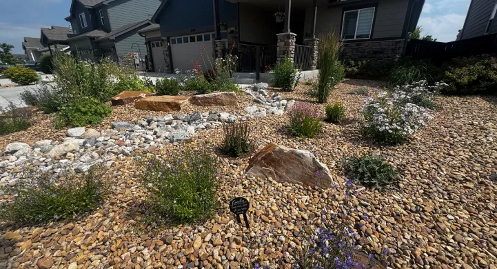 Why Fall Is Best for Landscape Design in Northern Colorado landscape design in northern colorado